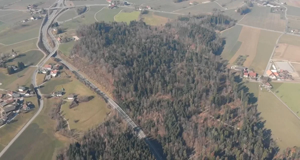 Luftaufnahme vom Tägernauer Holz zwischen Grüningen und Gossau; dort soll eine Deponie entstehen mit direkter Zufahrt zur Forchautostrasse.